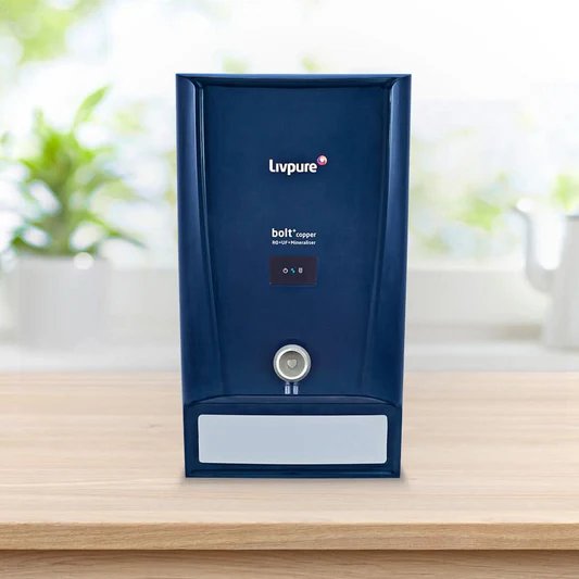Livpure RO Water Filter Service